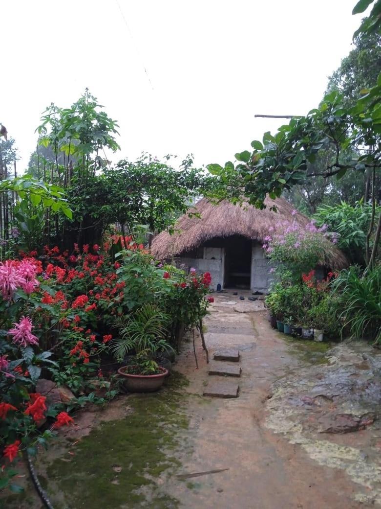 Meikha Homestay Pynursla المظهر الخارجي الصورة