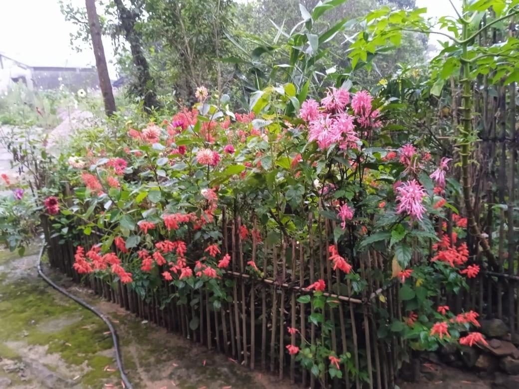 Meikha Homestay Pynursla المظهر الخارجي الصورة